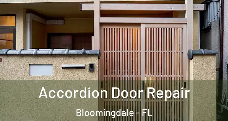 Accordion Door Repair Bloomingdale - FL