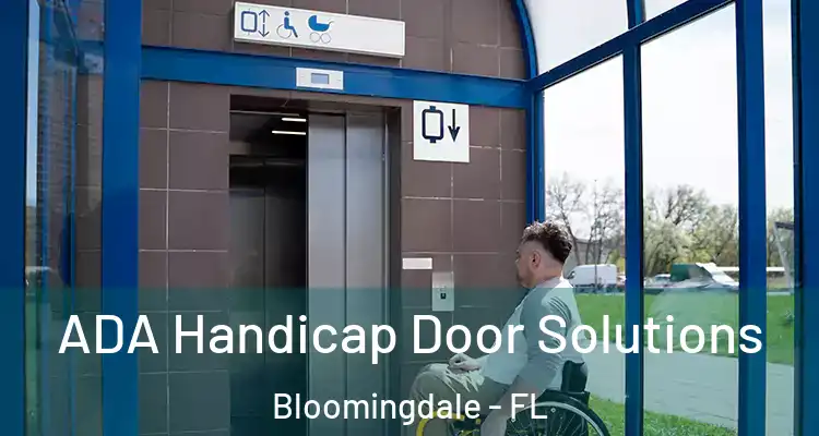 ADA Handicap Door Solutions Bloomingdale - FL