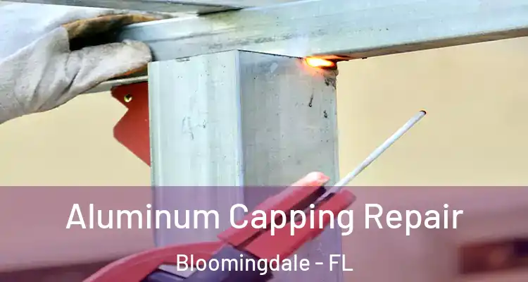 Aluminum Capping Repair Bloomingdale - FL