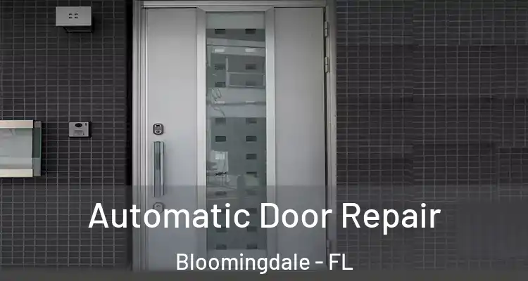 Automatic Door Repair Bloomingdale - FL