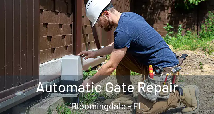 Automatic Gate Repair Bloomingdale - FL