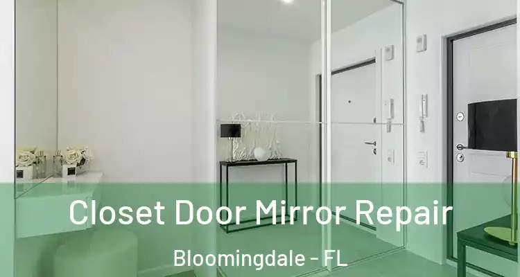 Closet Door Mirror Repair Bloomingdale - FL