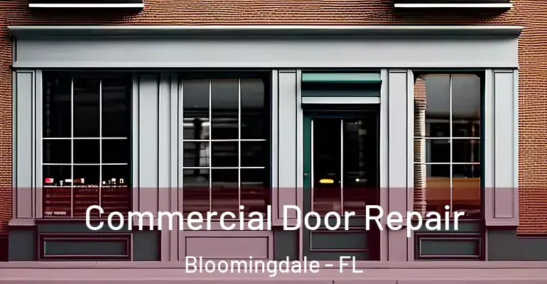 Commercial Door Repair Bloomingdale - FL