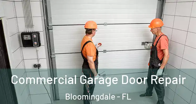 Commercial Garage Door Repair Bloomingdale - FL
