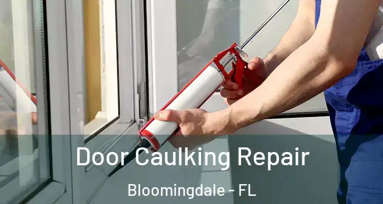 Door Caulking Repair Bloomingdale - FL