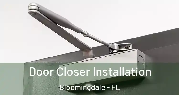 Door Closer Installation Bloomingdale - FL
