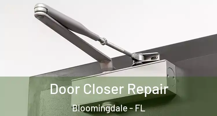 Door Closer Repair Bloomingdale - FL