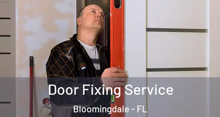 Door Fixing Service Bloomingdale - FL