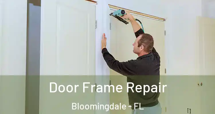 Door Frame Repair Bloomingdale - FL