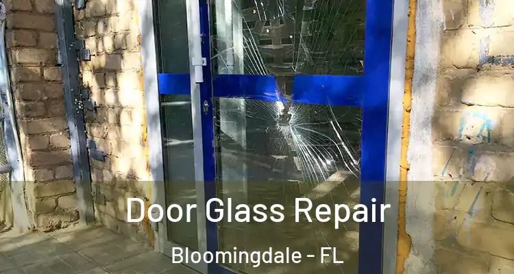 Door Glass Repair Bloomingdale - FL