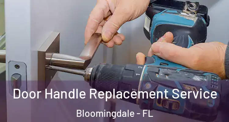 Door Handle Replacement Service Bloomingdale - FL