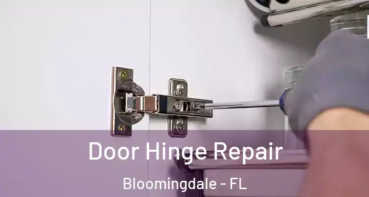 Door Hinge Repair Bloomingdale - FL
