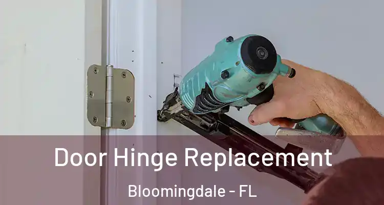  Door Hinge Replacement Bloomingdale - FL