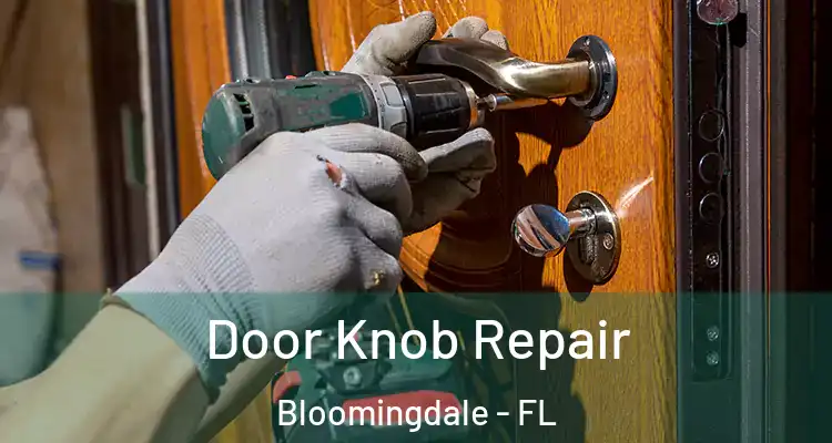 Door Knob Repair Bloomingdale - FL