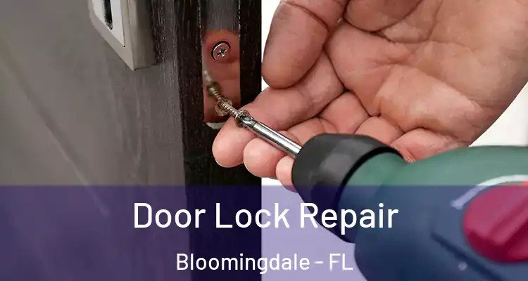 Door Lock Repair Bloomingdale - FL