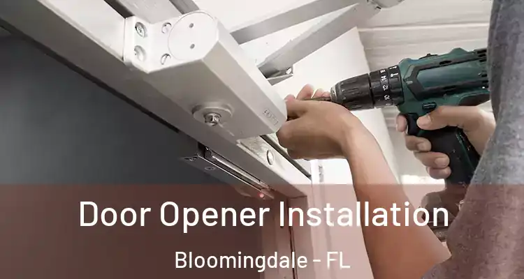  Door Opener Installation Bloomingdale - FL