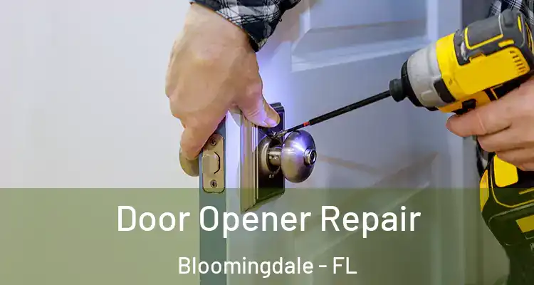 Door Opener Repair Bloomingdale - FL