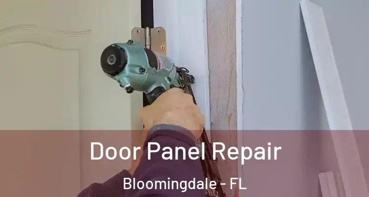Door Panel Repair Bloomingdale - FL