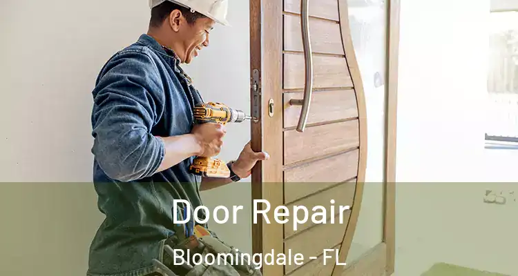 Door Repair Bloomingdale - FL