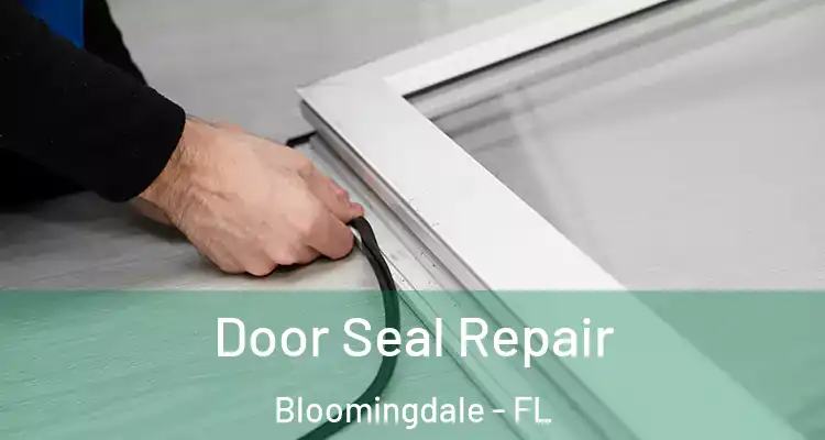 Door Seal Repair Bloomingdale - FL