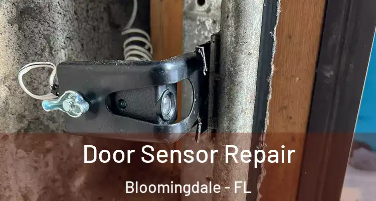 Door Sensor Repair Bloomingdale - FL