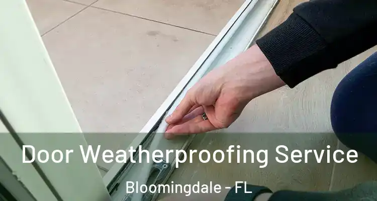  Door Weatherproofing Service Bloomingdale - FL