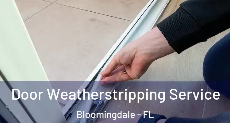  Door Weatherstripping Service Bloomingdale - FL