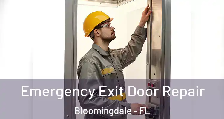 Emergency Exit Door Repair Bloomingdale - FL
