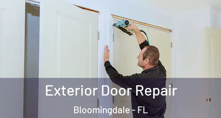 Exterior Door Repair Bloomingdale - FL