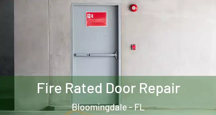 Fire Rated Door Repair Bloomingdale - FL