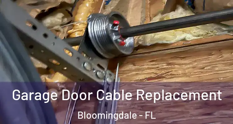 Garage Door Cable Replacement Bloomingdale - FL