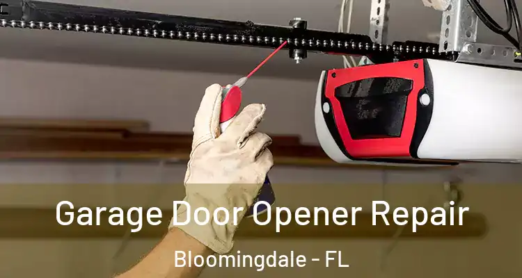 Garage Door Opener Repair Bloomingdale - FL