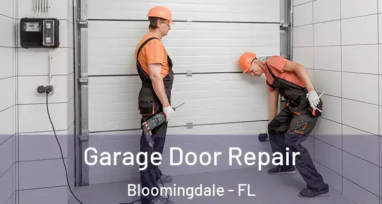 Garage Door Repair Bloomingdale - FL
