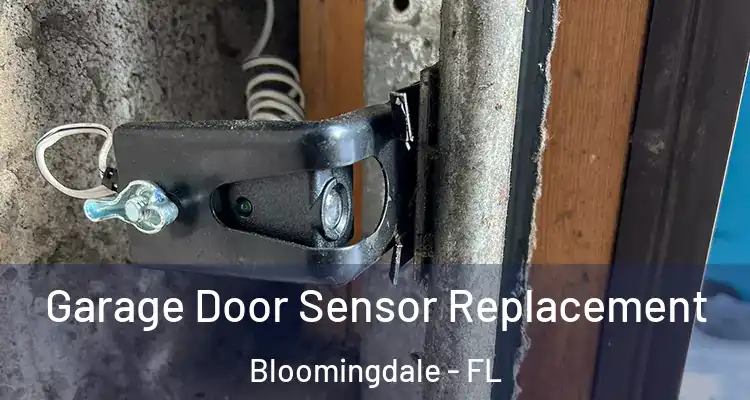 Garage Door Sensor Replacement Bloomingdale - FL
