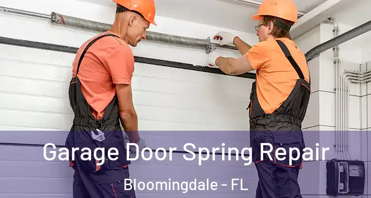 Garage Door Spring Repair Bloomingdale - FL
