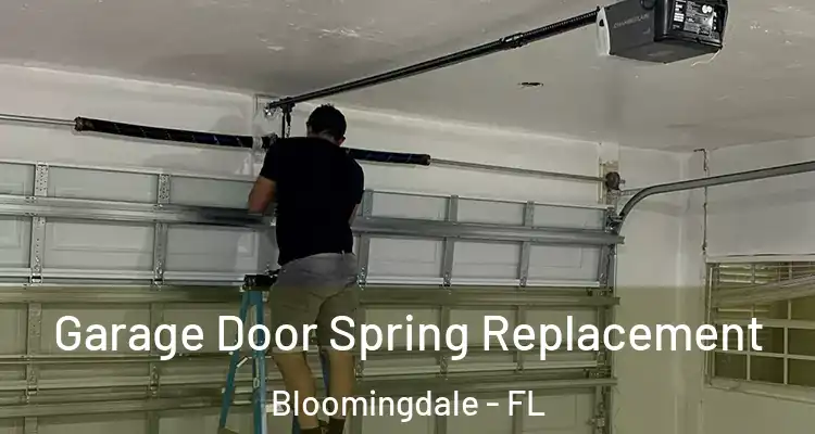  Garage Door Spring Replacement Bloomingdale - FL