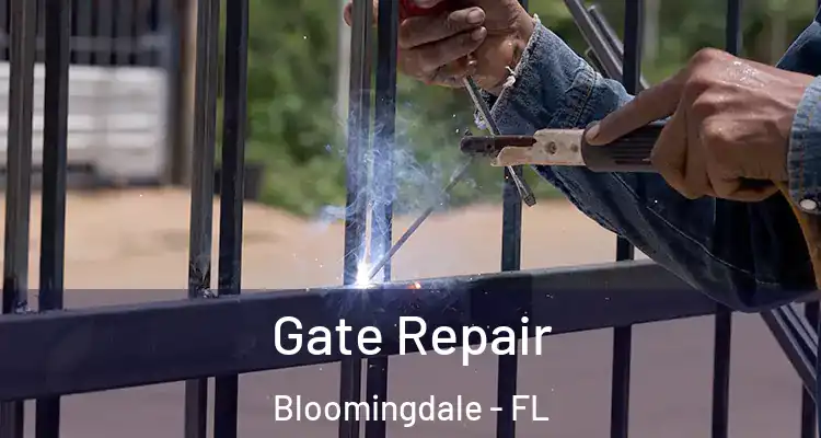 Gate Repair Bloomingdale - FL