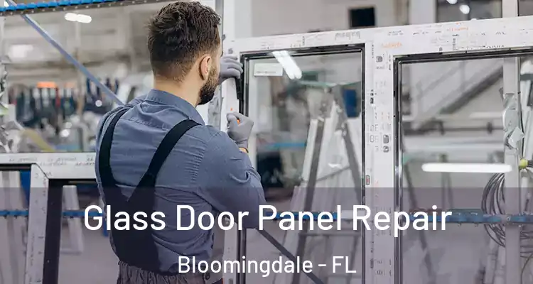 Glass Door Panel Repair Bloomingdale - FL