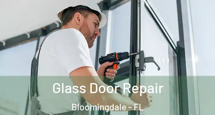 Glass Door Repair Bloomingdale - FL