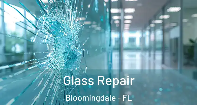 Glass Repair Bloomingdale - FL