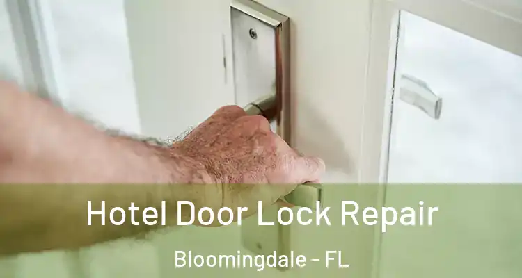 Hotel Door Lock Repair Bloomingdale - FL