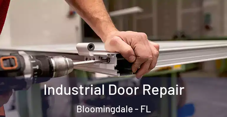 Industrial Door Repair Bloomingdale - FL