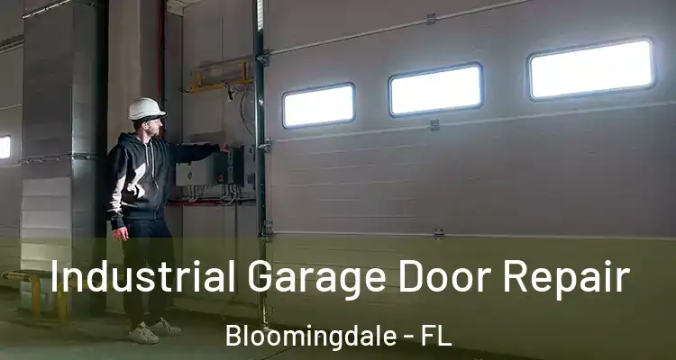 Industrial Garage Door Repair Bloomingdale - FL