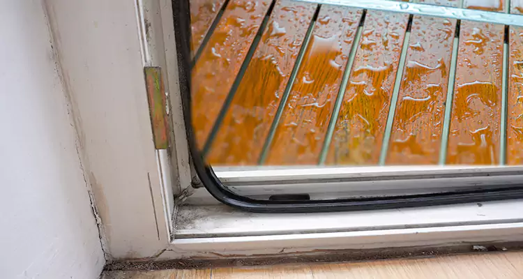 Water Leaking Wooden Patio Doors Repair in Bloomingdale, FL