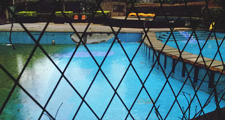 Lanai Screen Repair in Bloomingdale, FL