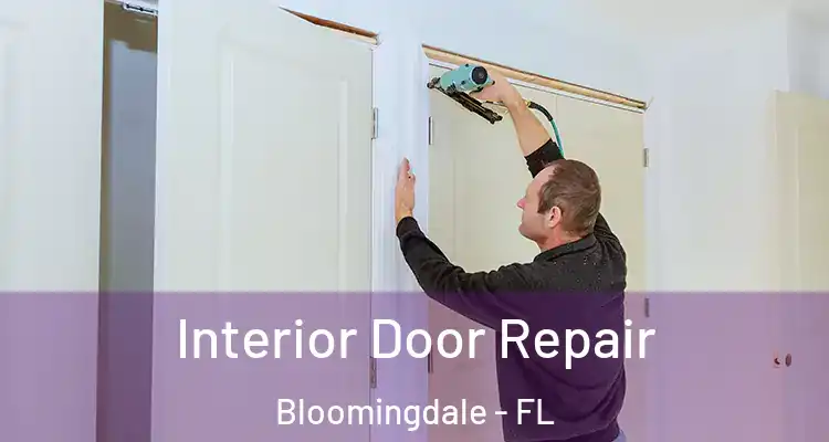 Interior Door Repair Bloomingdale - FL