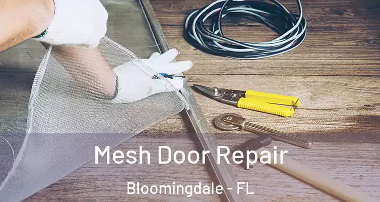 Mesh Door Repair Bloomingdale - FL