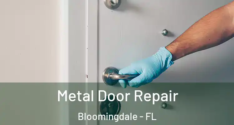 Metal Door Repair Bloomingdale - FL