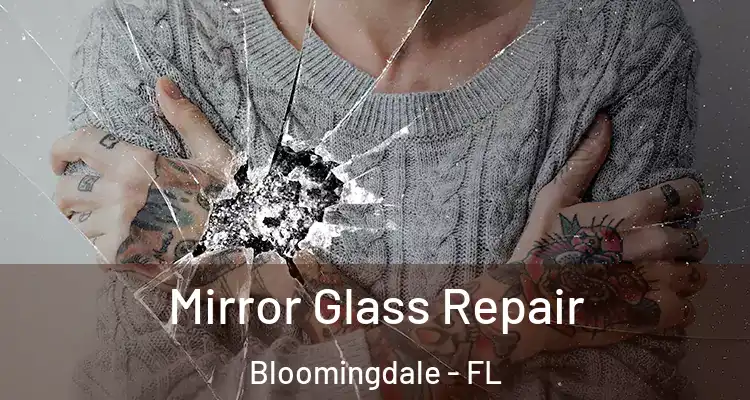 Mirror Glass Repair Bloomingdale - FL