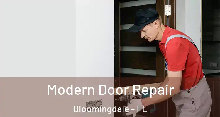 Modern Door Repair Bloomingdale - FL